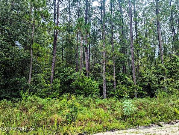 7.5 Acres of Land for Sale in Keystone Heights, Florida