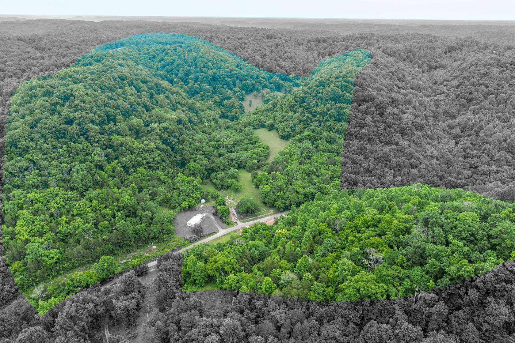 113 Acres of Improved Land for Auction in Woodbury, Tennessee
