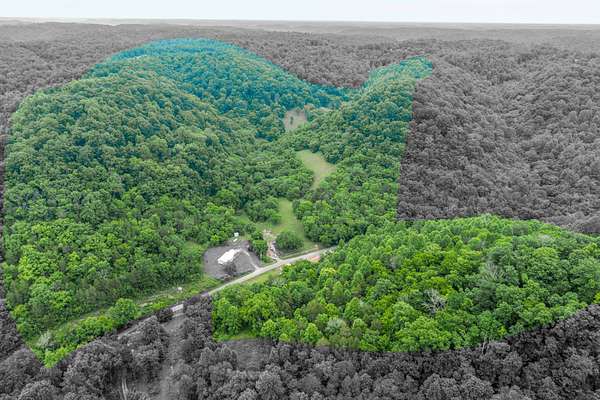 113 Acres of Improved Land for Auction in Woodbury, Tennessee