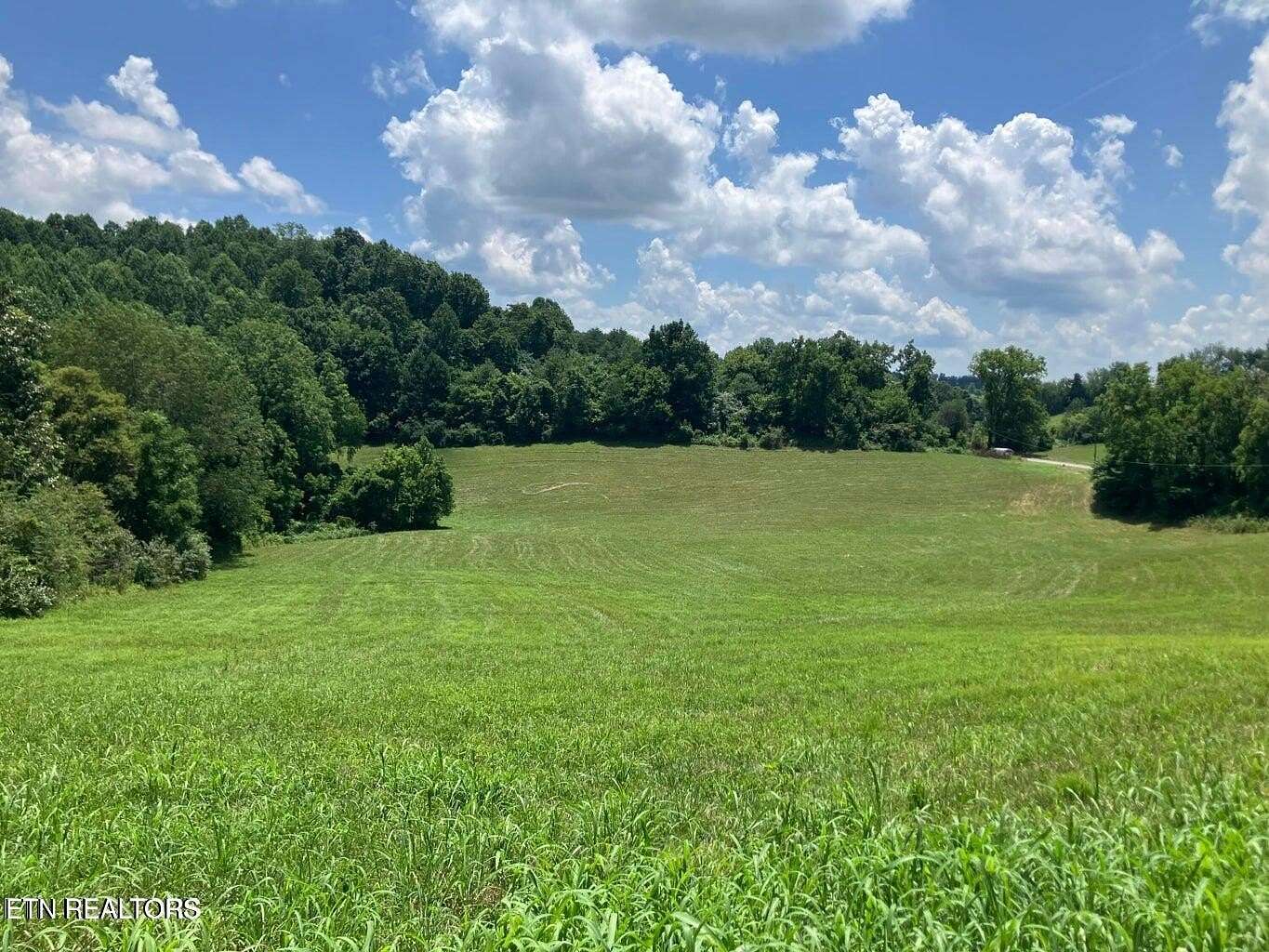 6.18 Acres of Land for Sale in New Tazewell, Tennessee