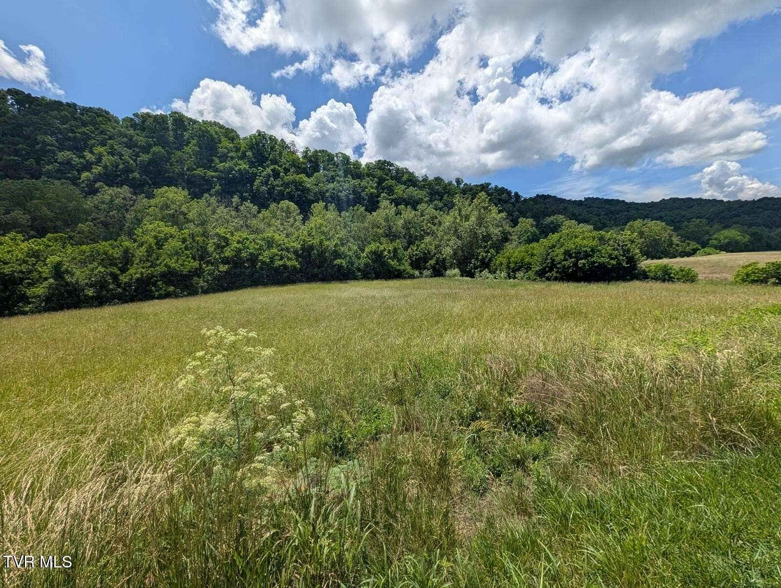 3.35 Acres of Land for Sale in Gate City, Virginia