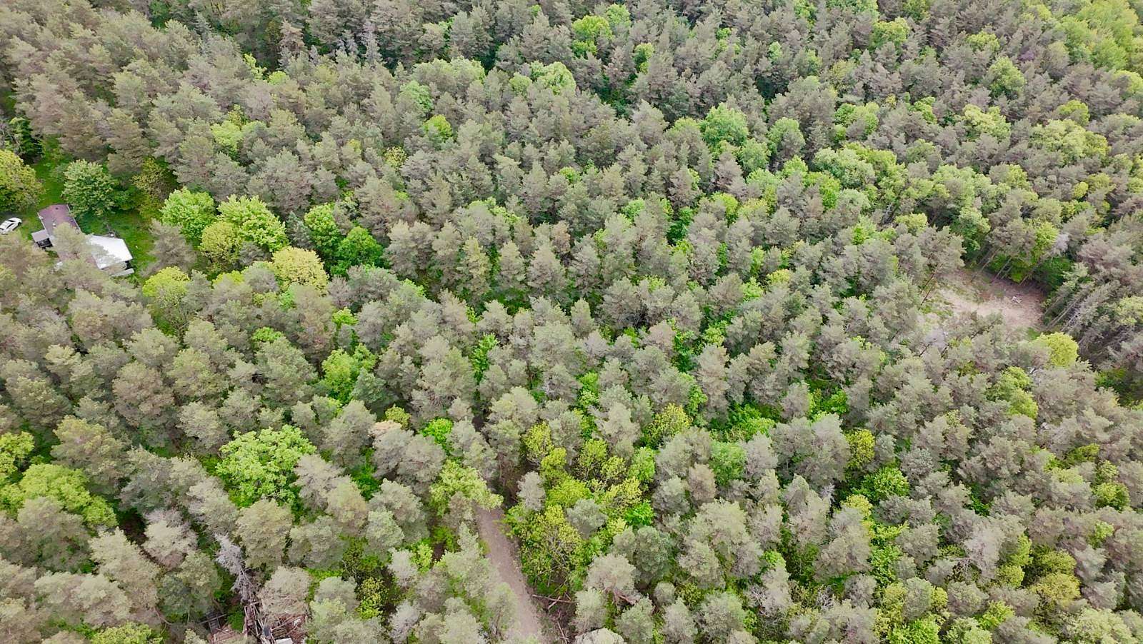 3.49 Acres of Residential Land for Sale in Franklinville, New York