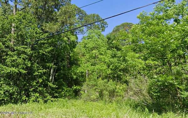 0.17 Acres of Residential Land for Sale in Ocean Springs, Mississippi