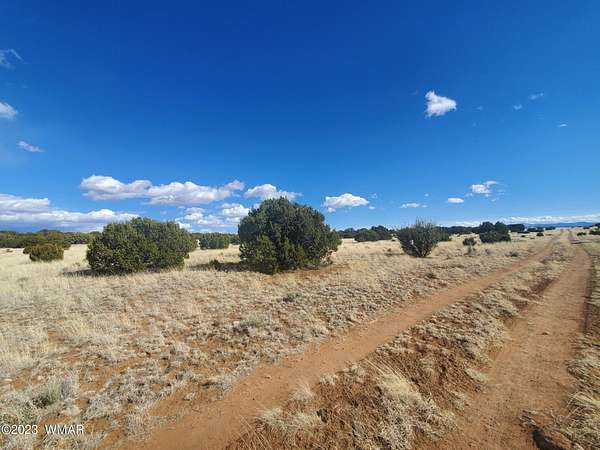 1.1 Acres of Residential Land for Sale in Concho, Arizona