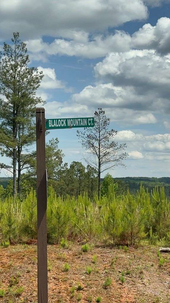 3.45 Acres of Land for Sale in Talking Rock, Georgia