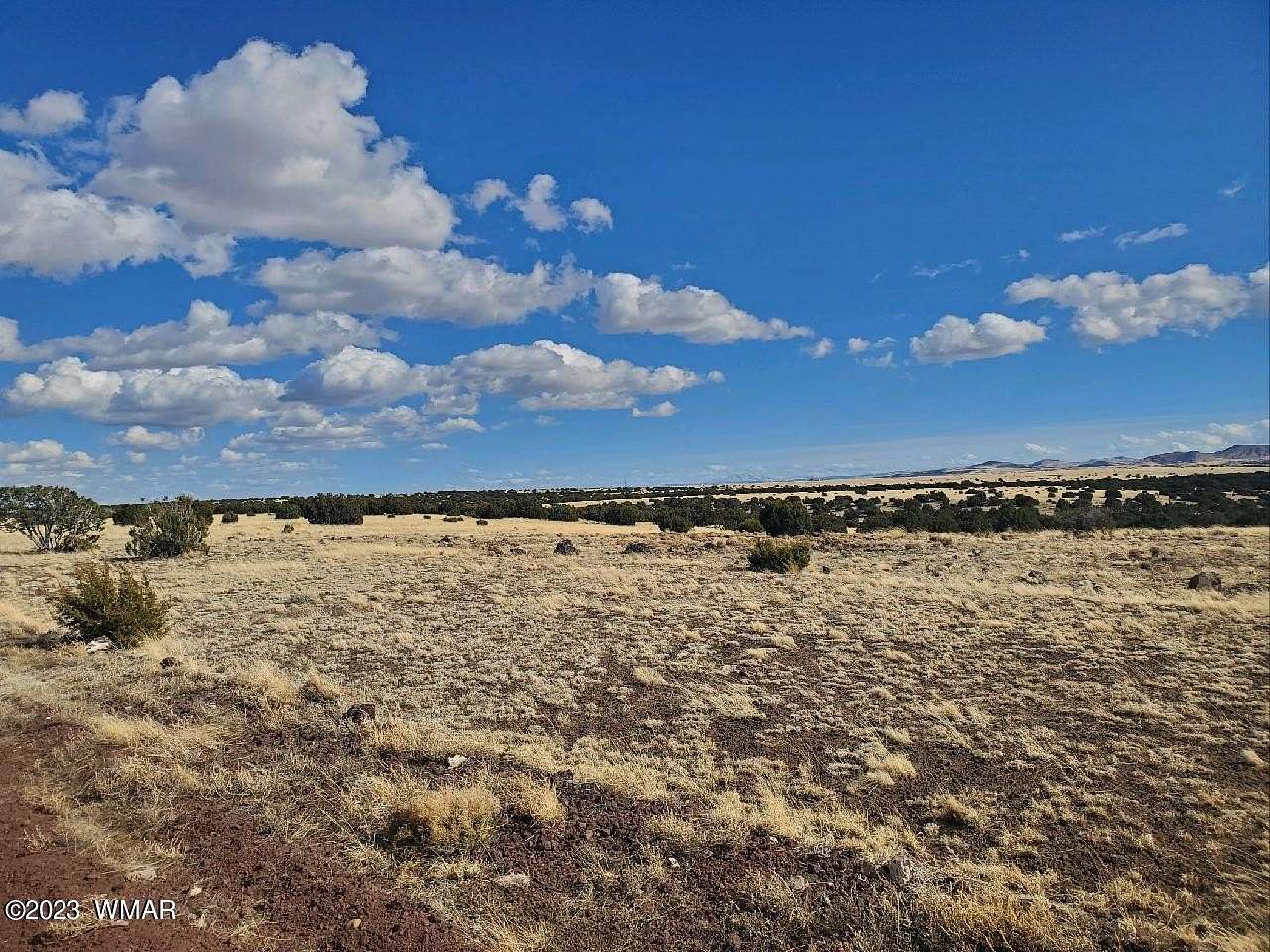 1 Acre of Residential Land for Sale in Concho, Arizona