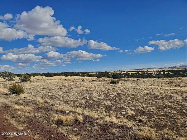 1 Acre of Residential Land for Sale in Concho, Arizona