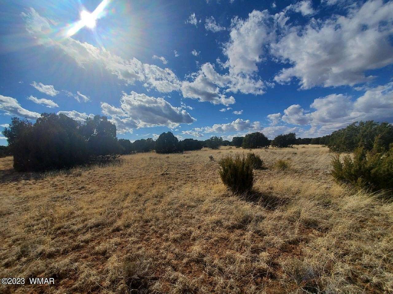 1.12 Acres of Residential Land for Sale in Concho, Arizona