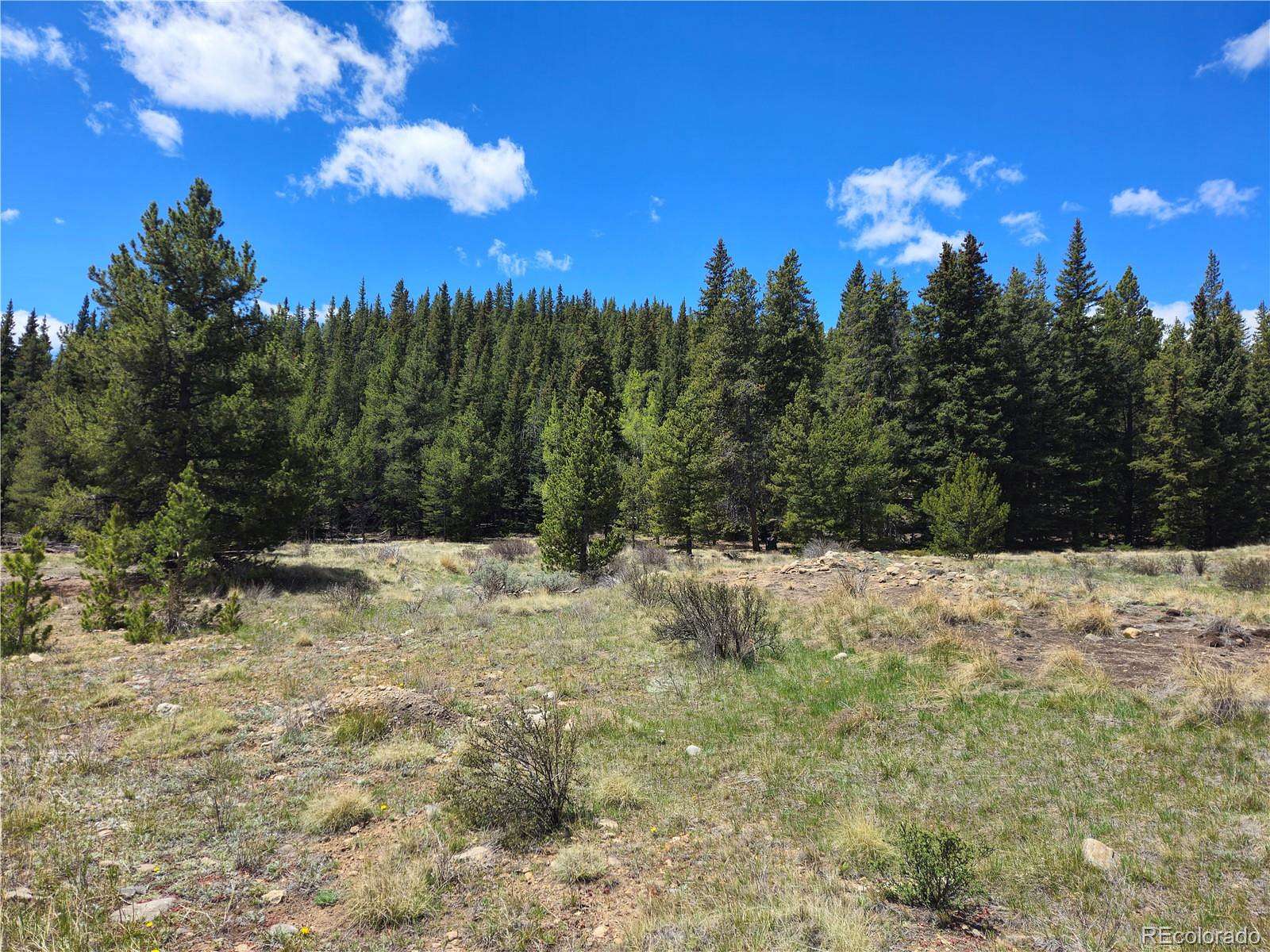 20 Acres of Recreational & Residential Land for Sale in Fairplay, Colorado