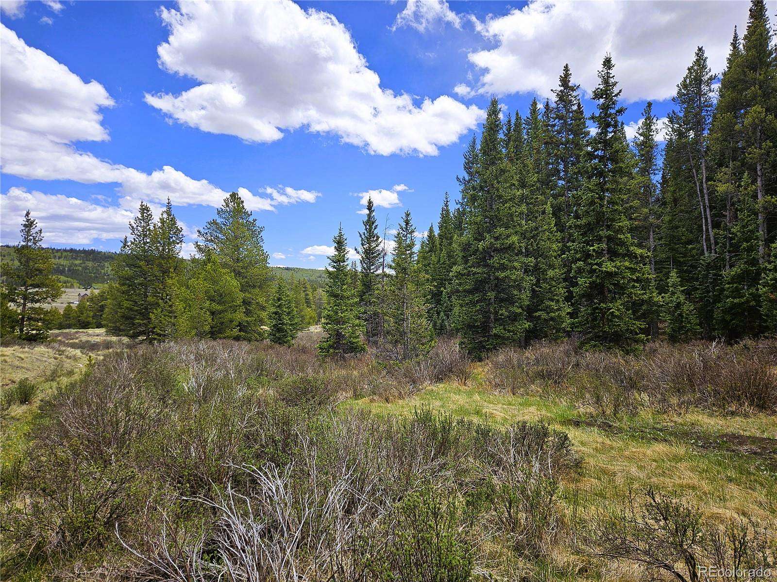 20 Acres of Recreational & Residential Land for Sale in Fairplay, Colorado