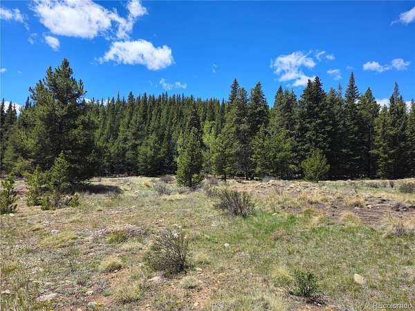 20 Acres of Recreational & Residential Land for Sale in Fairplay, Colorado