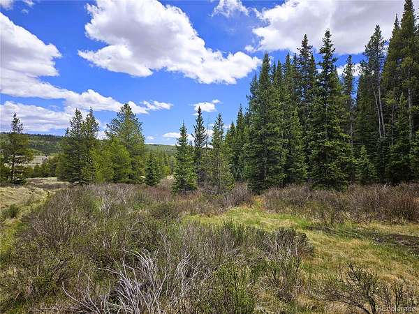 20 Acres of Recreational & Residential Land for Sale in Fairplay, Colorado