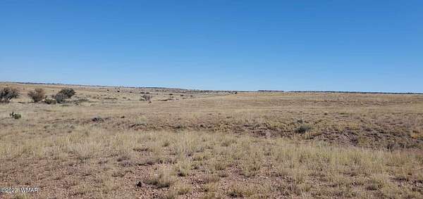 1 Acre of Residential Land for Sale in Concho, Arizona