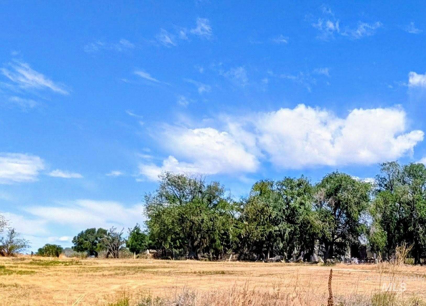 1 Acre of Residential Land for Sale in Meridian, Idaho