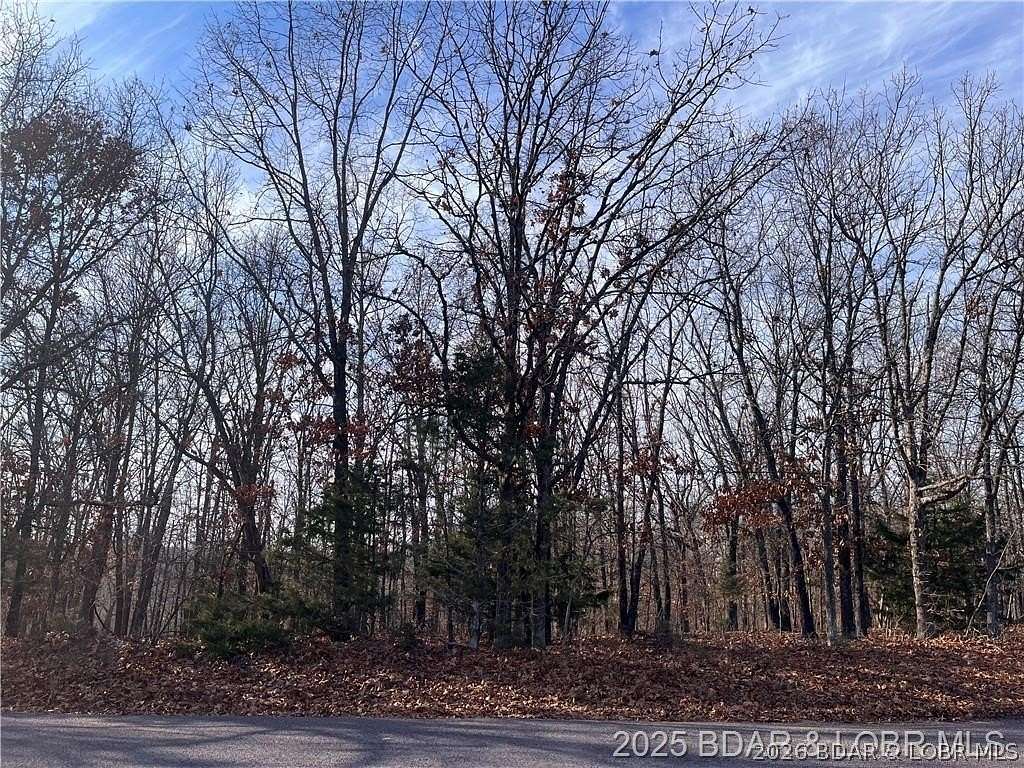 12.8 Acres of Land for Sale in Gravois Mills, Missouri