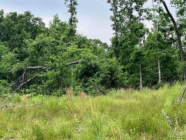 19 Acres of Land for Sale in Fredericktown, Missouri