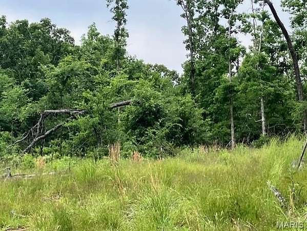 16.7 Acres of Land for Sale in Fredericktown, Missouri