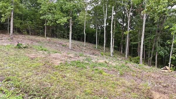 1.47 Acres of Residential Land for Sale in Bean Station, Tennessee
