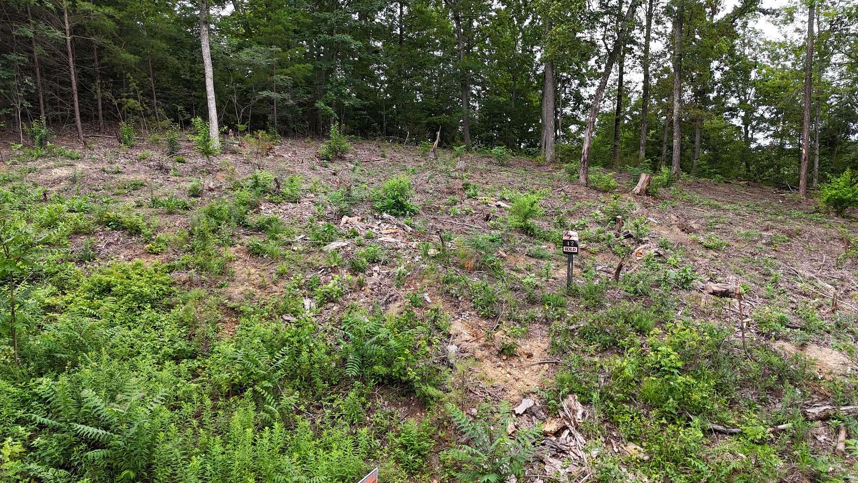 2.9 Acres of Residential Land for Sale in Bean Station, Tennessee