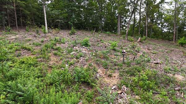 2.9 Acres of Residential Land for Sale in Bean Station, Tennessee
