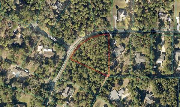 1 Acre of Residential Land for Sale in Dunnellon, Florida