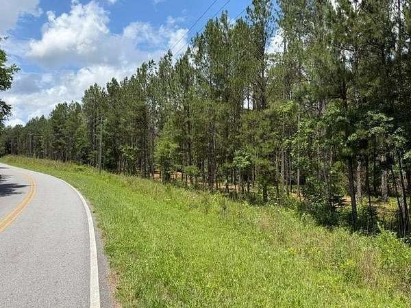 114 Acres of Recreational & Residential Land for Sale in Taylorsville, Georgia