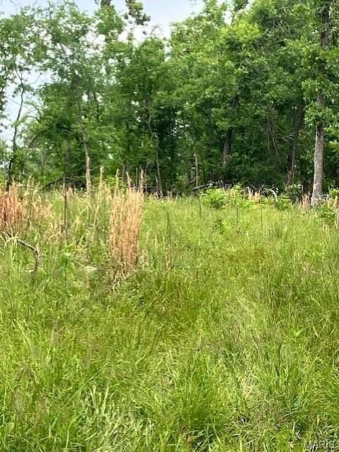 16.2 Acres of Land for Sale in Fredericktown, Missouri