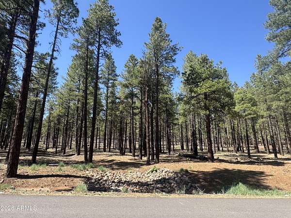 2 Acres of Residential Land for Sale in Flagstaff, Arizona