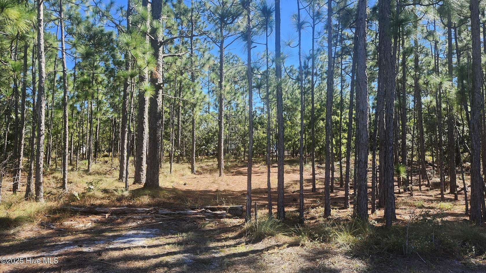 0.26 Acres of Residential Land for Sale in Southport, North Carolina