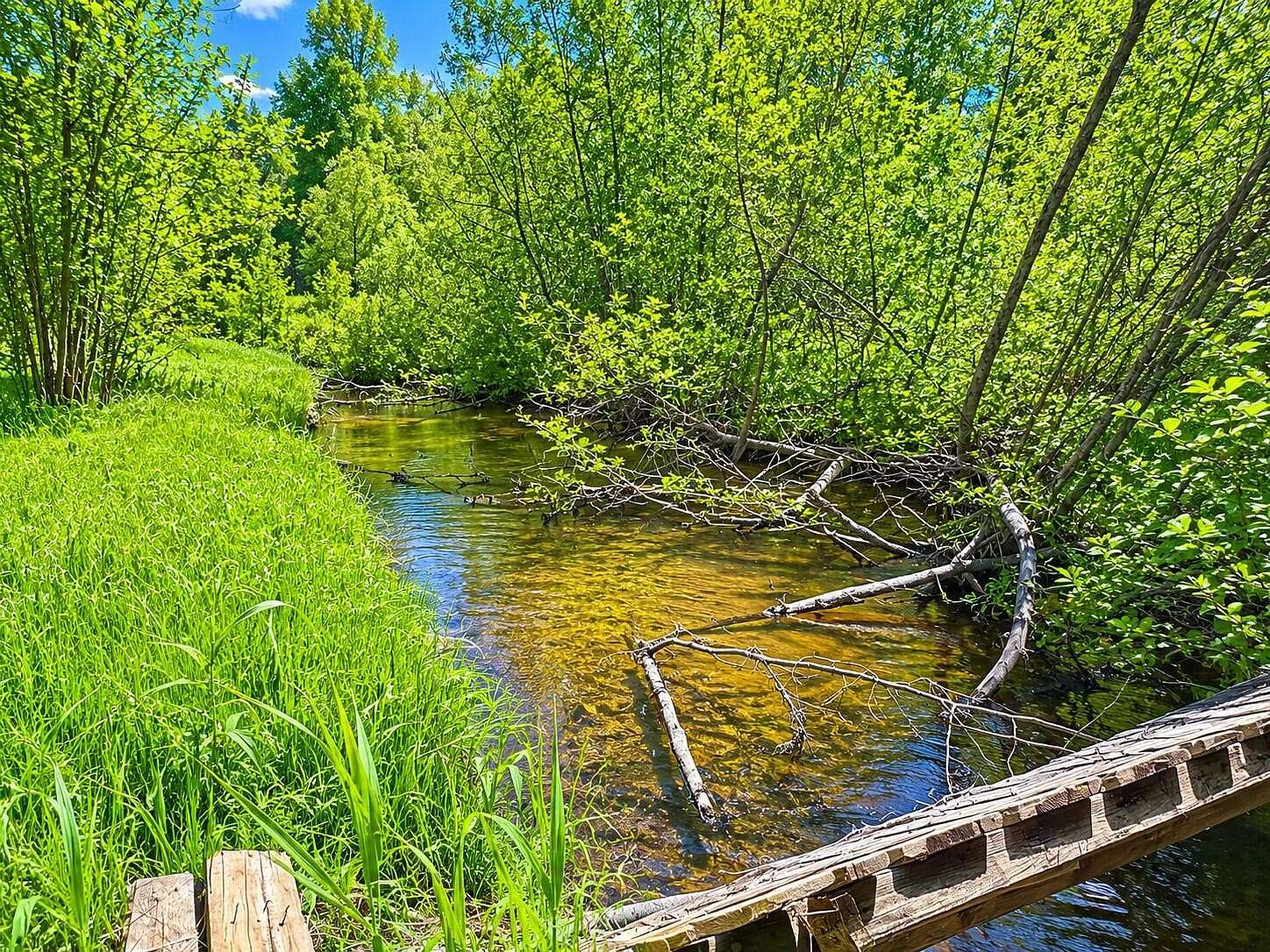 10.1 Acres of Recreational Land with Home for Sale in Hersey, Michigan
