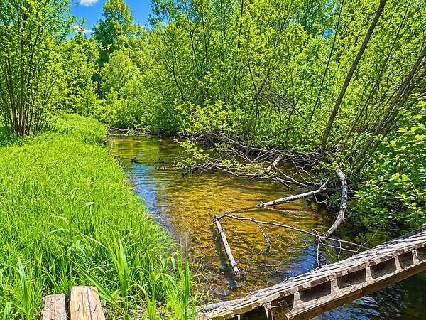 10.1 Acres of Recreational Land with Home for Sale in Hersey, Michigan