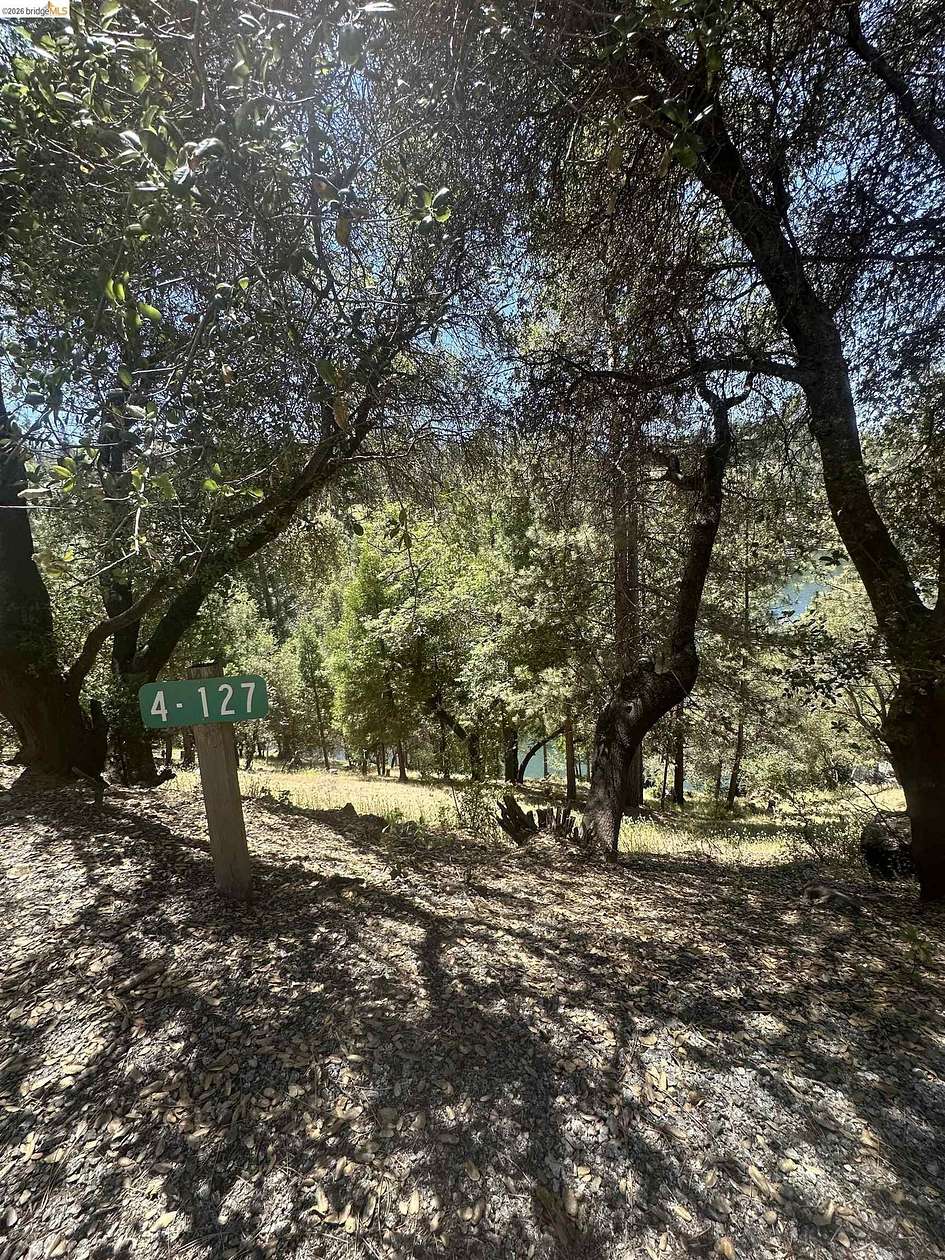 0.46 Acres of Residential Land for Sale in Groveland, California