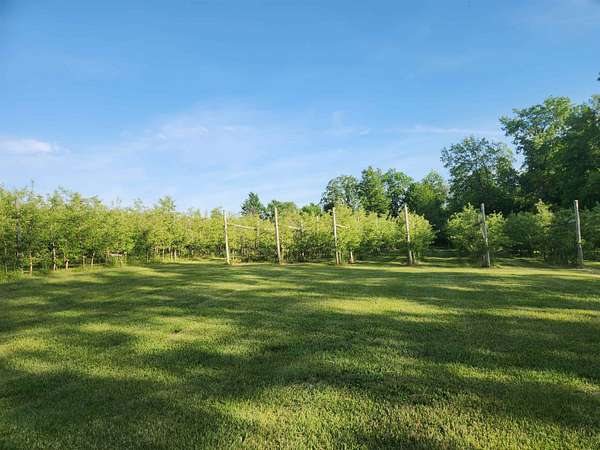 78.5 Acres of Agricultural Land for Sale in Hillsboro, Wisconsin