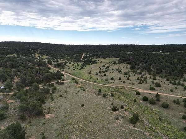 26.6 Acres of Recreational & Residential Land for Sale in Ramah, New Mexico