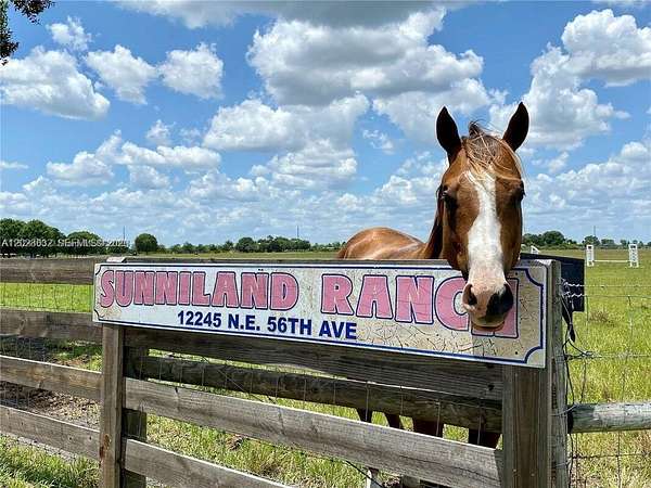 62.3 Acres of Agricultural Land with Home for Sale in Okeechobee, Florida