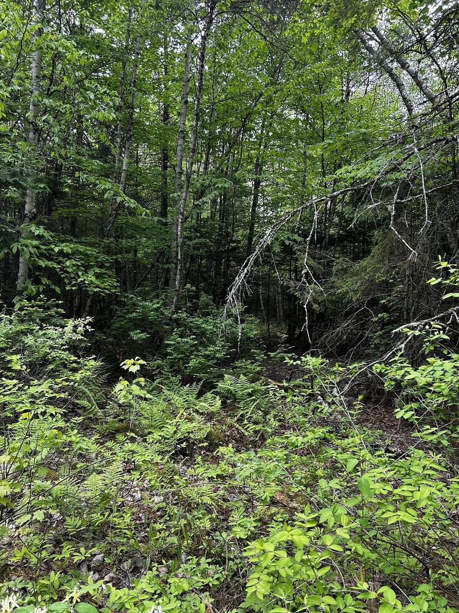 2.9 Acres of Land for Sale in Newport, Maine