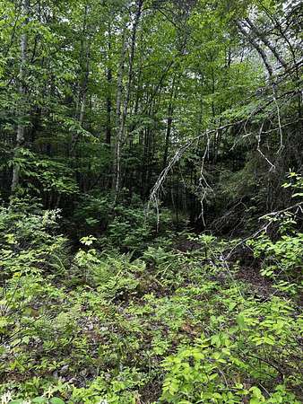 2.9 Acres of Land for Sale in Newport, Maine