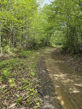825 Acres of Recreational Land for Sale in Wytopitlock, Maine