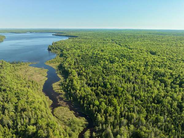 825 Acres of Recreational Land for Sale in Wytopitlock, Maine