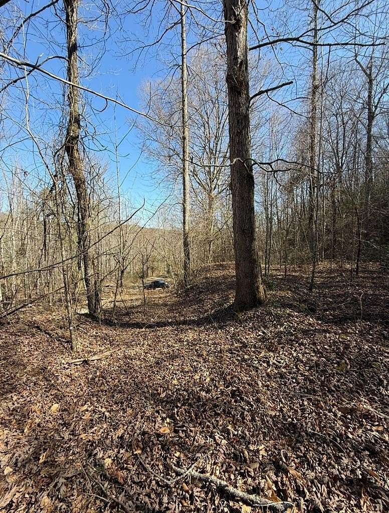 1.87 Acres of Residential Land for Sale in Brasstown, North Carolina