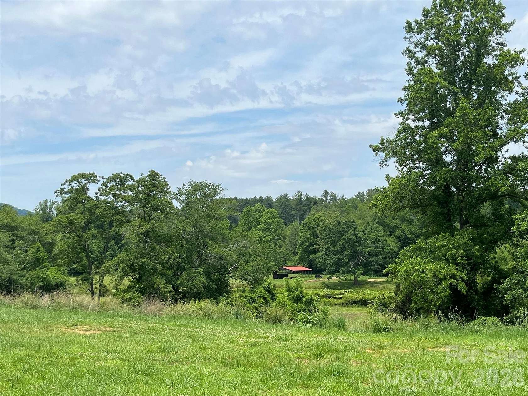 21 Acres of Land for Sale in Fletcher, North Carolina