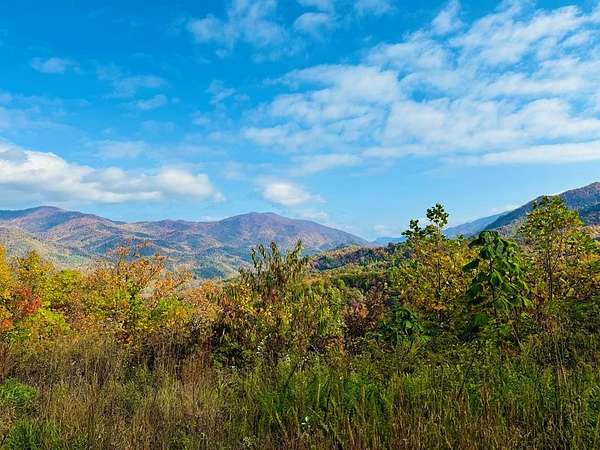 1 Acre of Residential Land for Sale in Andrews, North Carolina