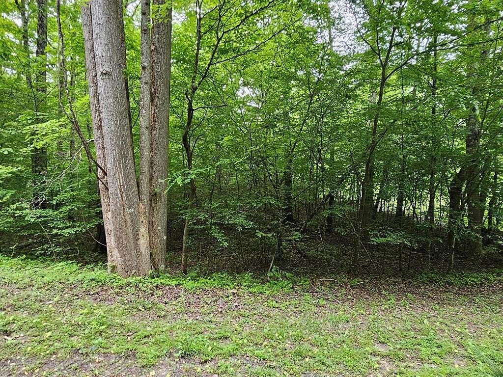 0.22 Acres of Residential Land for Sale in Murphy, North Carolina