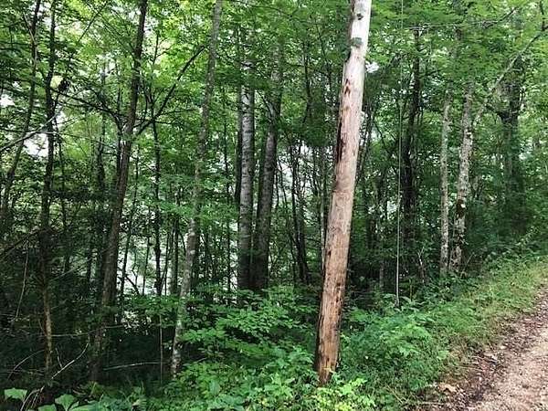 Land for Sale in Robbinsville, North Carolina