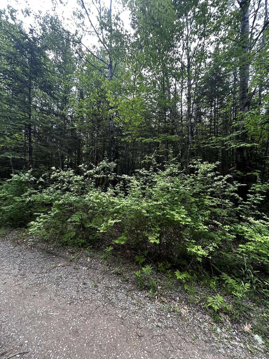 2.8 Acres of Land for Sale in Newport, Maine