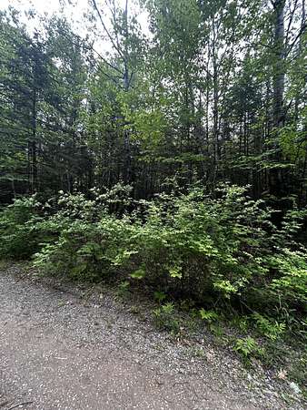 2.8 Acres of Land for Sale in Newport, Maine