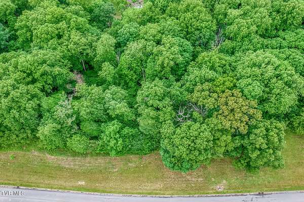 1.1 Acres of Residential Land for Sale in Chuckey, Tennessee