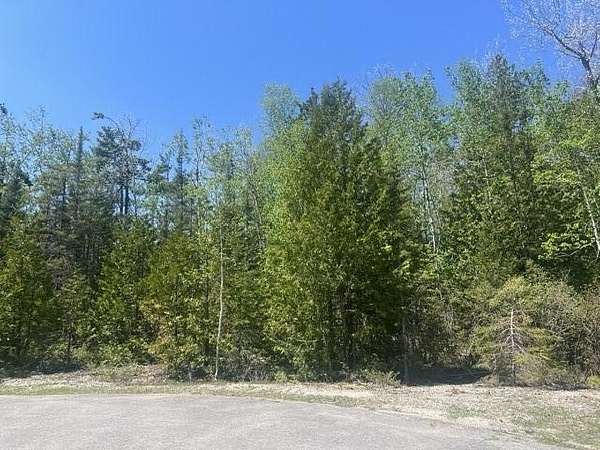 0.47 Acres of Land for Sale in Presque Isle, Michigan