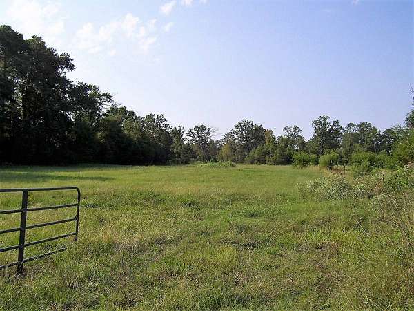 14.6 Acres of Land for Sale in Ashdown, Arkansas