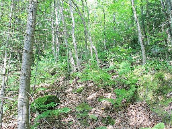 0.95 Acres of Residential Land for Sale in Upson, Wisconsin